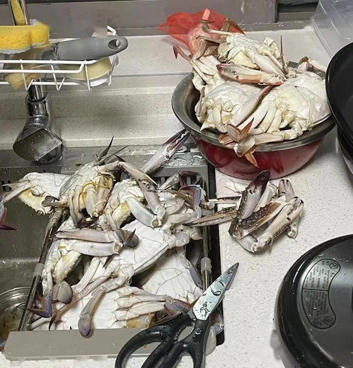吃吐了？杭州人最愛的它價(jià)格持續(xù)走低，肉制品及副產(chǎn)品加工迎來旺季
