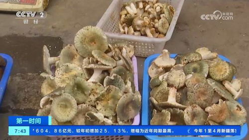 滾動式發展 肉制品及副產品加工的創新之路