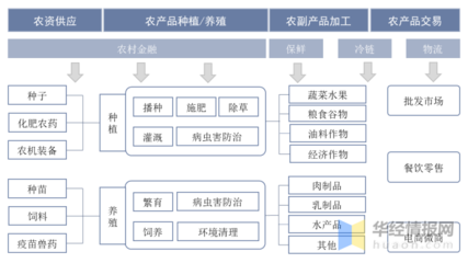 2022年中國(guó)數(shù)字農(nóng)業(yè)發(fā)展現(xiàn)狀、存在的問(wèn)題及對(duì)策建議,農(nóng)業(yè)數(shù)字化進(jìn)程加快「圖」